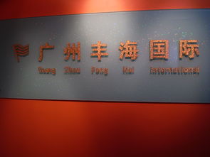 廣州市豐海貿易公司 開啟高效便捷的網(wǎng)上貿易代理服務